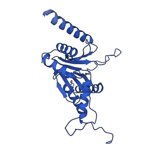 24275_7nan_B_v1-0
Human 20S proteasome core particle