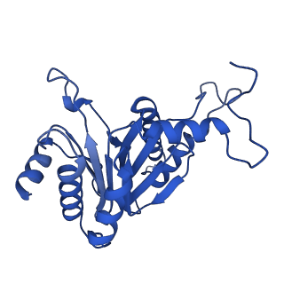 24275_7nan_D_v1-0
Human 20S proteasome core particle