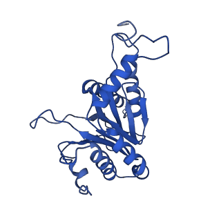 24275_7nan_E_v1-0
Human 20S proteasome core particle