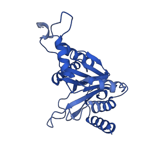 24275_7nan_F_v1-0
Human 20S proteasome core particle