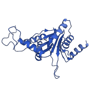 24275_7nan_G_v1-0
Human 20S proteasome core particle