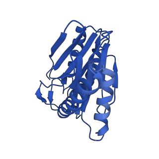 24275_7nan_I_v1-0
Human 20S proteasome core particle