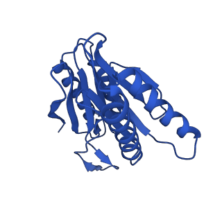 24275_7nan_J_v1-0
Human 20S proteasome core particle