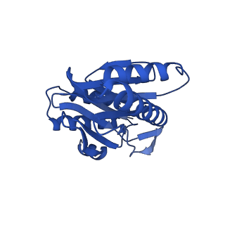 24275_7nan_K_v1-0
Human 20S proteasome core particle
