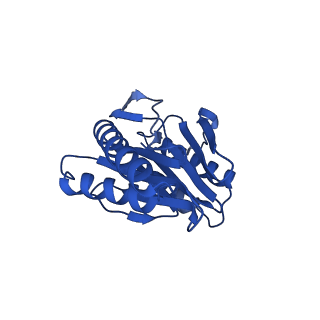 24275_7nan_N_v1-0
Human 20S proteasome core particle