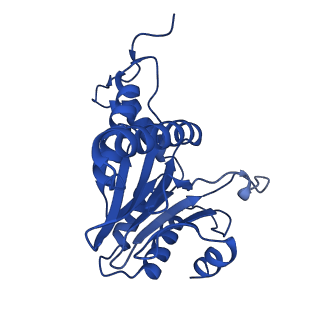 24275_7nan_O_v1-0
Human 20S proteasome core particle