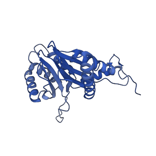 24275_7nan_Q_v1-0
Human 20S proteasome core particle