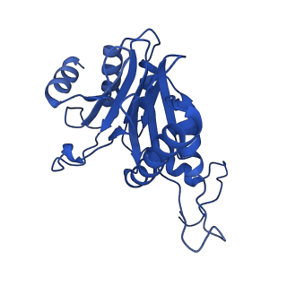 24275_7nan_R_v1-0
Human 20S proteasome core particle