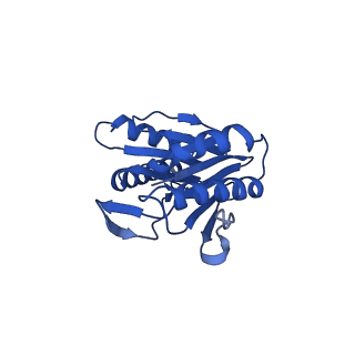 24275_7nan_b_v1-0
Human 20S proteasome core particle