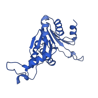 24276_7nao_A_v1-0
Human PA28-20S proteasome complex