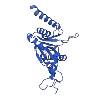 24276_7nao_B_v1-0
Human PA28-20S proteasome complex
