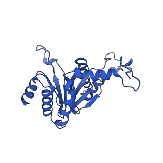 24276_7nao_D_v1-0
Human PA28-20S proteasome complex
