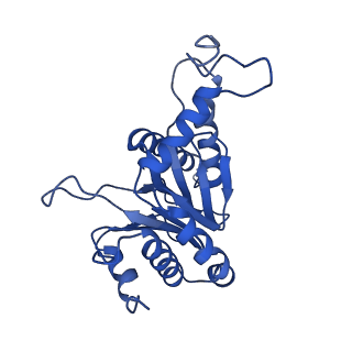 24276_7nao_E_v1-0
Human PA28-20S proteasome complex