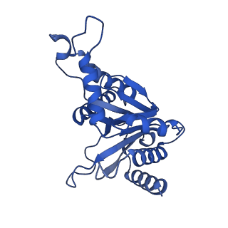 24276_7nao_F_v1-0
Human PA28-20S proteasome complex
