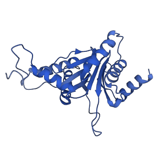 24276_7nao_G_v1-0
Human PA28-20S proteasome complex