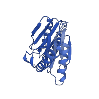 24276_7nao_I_v1-0
Human PA28-20S proteasome complex
