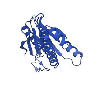 24276_7nao_J_v1-0
Human PA28-20S proteasome complex