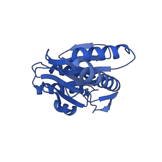 24276_7nao_K_v1-0
Human PA28-20S proteasome complex