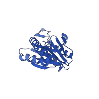 24276_7nao_N_v1-0
Human PA28-20S proteasome complex