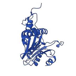 24276_7nao_O_v1-0
Human PA28-20S proteasome complex