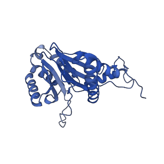 24276_7nao_Q_v1-0
Human PA28-20S proteasome complex