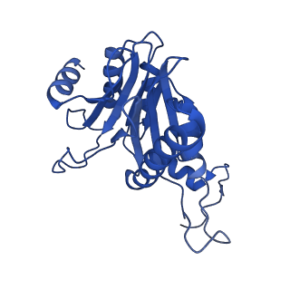 24276_7nao_R_v1-0
Human PA28-20S proteasome complex