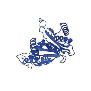 24276_7nao_T_v1-0
Human PA28-20S proteasome complex