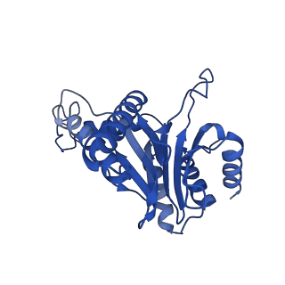 24276_7nao_U_v1-0
Human PA28-20S proteasome complex