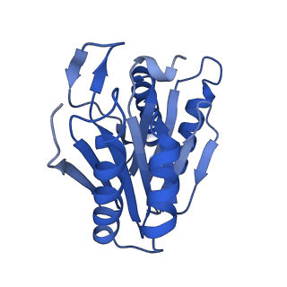 24276_7nao_W_v1-0
Human PA28-20S proteasome complex