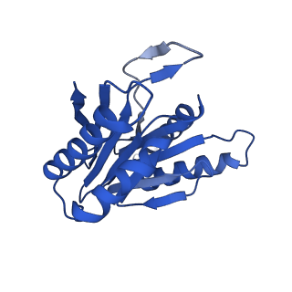 24276_7nao_X_v1-0
Human PA28-20S proteasome complex
