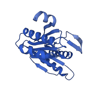 24276_7nao_Y_v1-0
Human PA28-20S proteasome complex