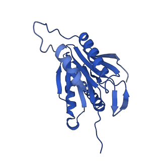 24276_7nao_Z_v1-0
Human PA28-20S proteasome complex