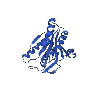 24276_7nao_a_v1-0
Human PA28-20S proteasome complex