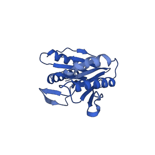 24276_7nao_b_v1-0
Human PA28-20S proteasome complex