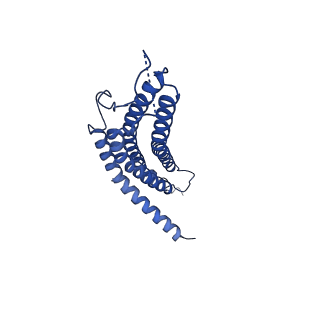 24276_7nao_c_v1-0
Human PA28-20S proteasome complex
