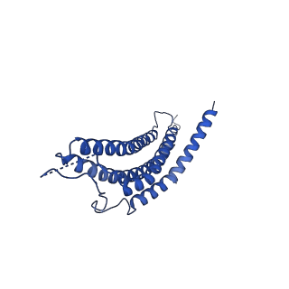24276_7nao_e_v1-0
Human PA28-20S proteasome complex