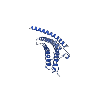 24276_7nao_g_v1-0
Human PA28-20S proteasome complex