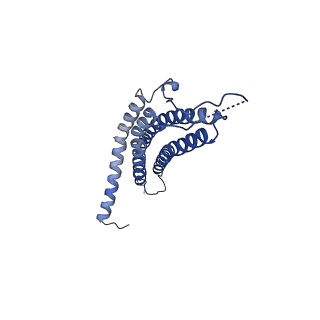 24276_7nao_i_v1-0
Human PA28-20S proteasome complex