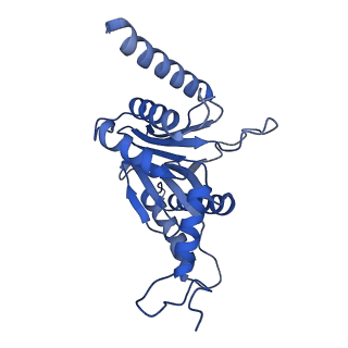 24277_7nap_B_v1-0
Human PA28-20S-PA28 proteasome complex