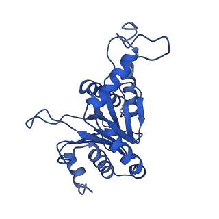 24277_7nap_E_v1-0
Human PA28-20S-PA28 proteasome complex