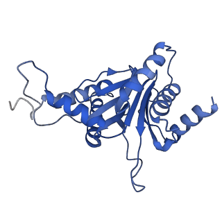 24277_7nap_G_v1-0
Human PA28-20S-PA28 proteasome complex