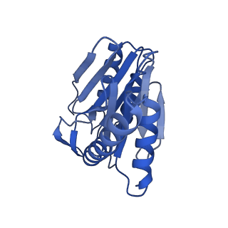 24277_7nap_I_v1-0
Human PA28-20S-PA28 proteasome complex