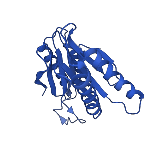 24277_7nap_J_v1-0
Human PA28-20S-PA28 proteasome complex