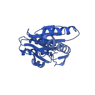 24277_7nap_K_v1-0
Human PA28-20S-PA28 proteasome complex