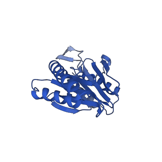 24277_7nap_N_v1-0
Human PA28-20S-PA28 proteasome complex