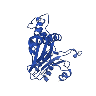 24277_7nap_O_v1-0
Human PA28-20S-PA28 proteasome complex