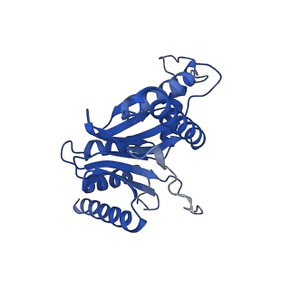 24277_7nap_P_v1-0
Human PA28-20S-PA28 proteasome complex