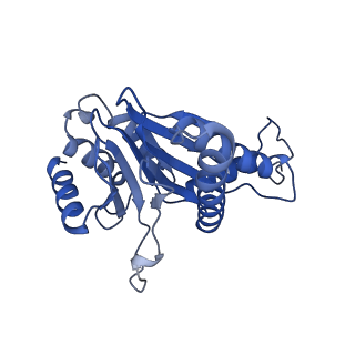 24277_7nap_Q_v1-0
Human PA28-20S-PA28 proteasome complex