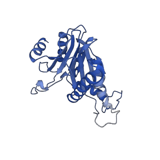 24277_7nap_R_v1-0
Human PA28-20S-PA28 proteasome complex