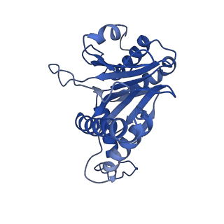 24277_7nap_S_v1-0
Human PA28-20S-PA28 proteasome complex